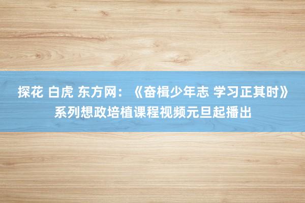 探花 白虎 东方网：《奋楫少年志 学习正其时》系列想政培植课程视频元旦起播出