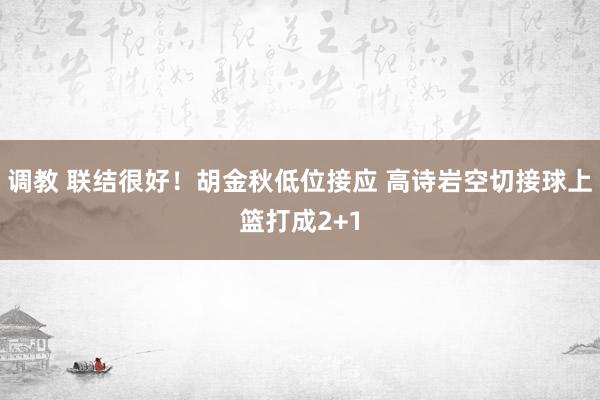 调教 联结很好！胡金秋低位接应 高诗岩空切接球上篮打成2+1