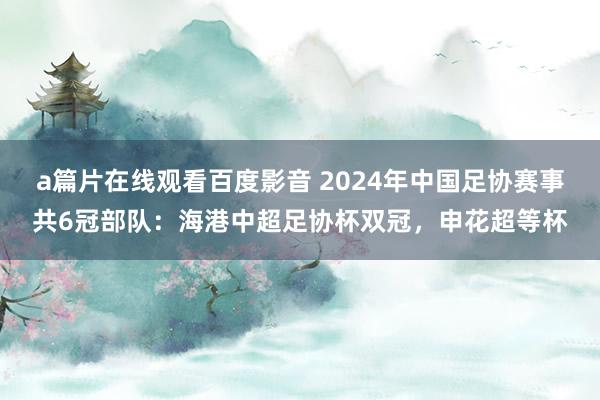 a篇片在线观看百度影音 2024年中国足协赛事共6冠部队:海港中超足协杯双冠,申花超等杯