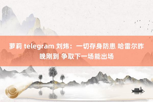 萝莉 telegram 刘炜:一切存身防患 哈雷尔昨晚刚到 争取下一场能出场